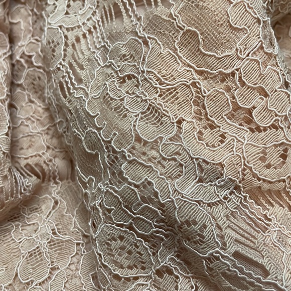 Sophia + Zelenskyy Vintage Lace Dress - Picture 4 of 4